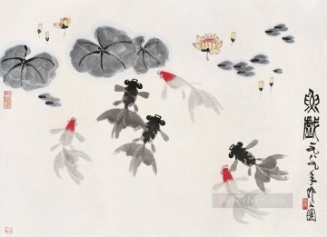  Zuoren Pintura - Pez dorado Wu Zuoren en nenúfares tinta china antigua